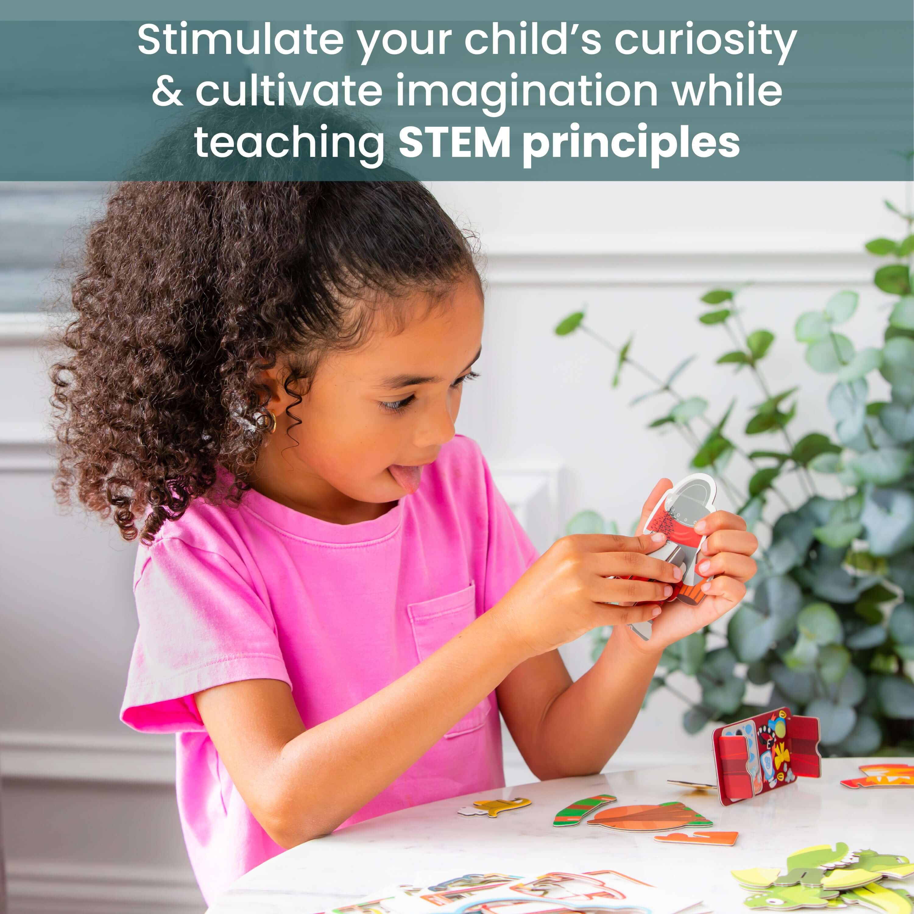 STEM Learning Principles