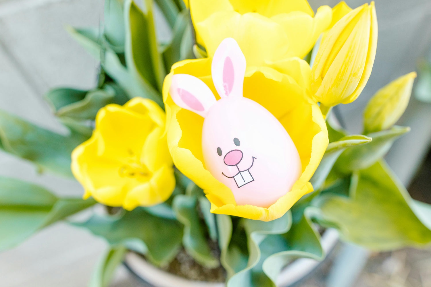Eco Friendly Easter Basket Gift Ideas for Kids